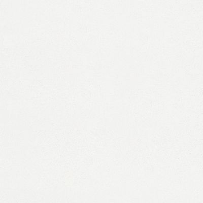 6011 Intense White Maple