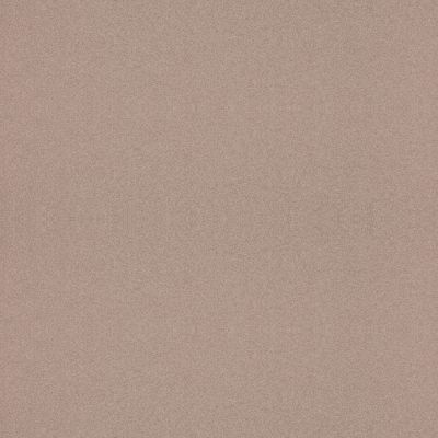 D-303 Raisined Chocolate