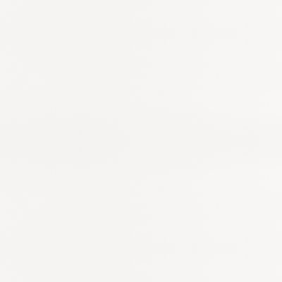 N 510 Mettalic White