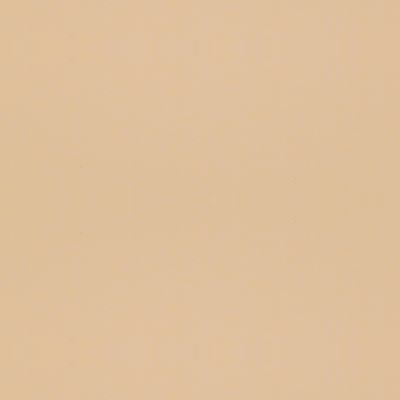 N 642 Aspen Seashell