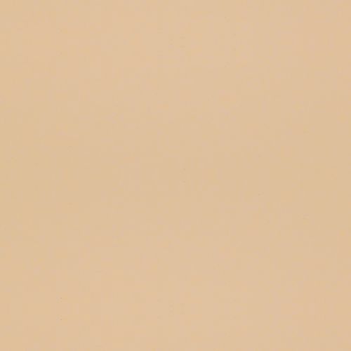 N 642 Aspen Seashell