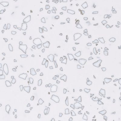 Mosaic Dalmatian QD212